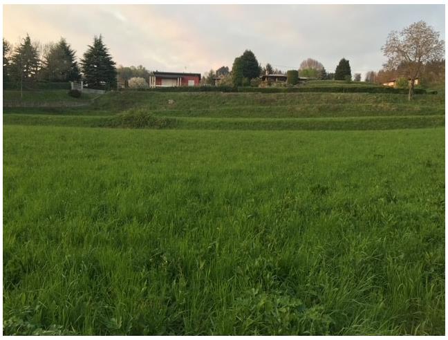 Anteprima foto 4 - Terreno Agricolo/Coltura in Vendita a Sirtori (Lecco)