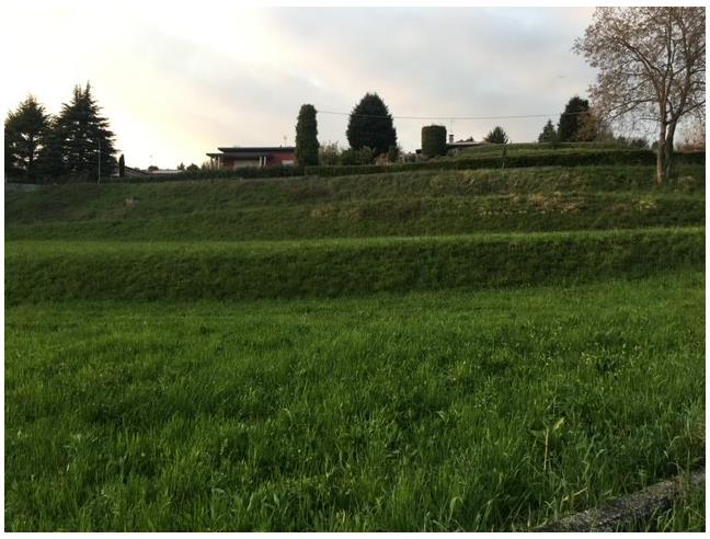 Anteprima foto 5 - Terreno Agricolo/Coltura in Vendita a Sirtori (Lecco)