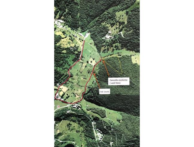 Anteprima foto 5 - Terreno Agricolo/Coltura in Vendita a Sormano - Pian Del Tivano