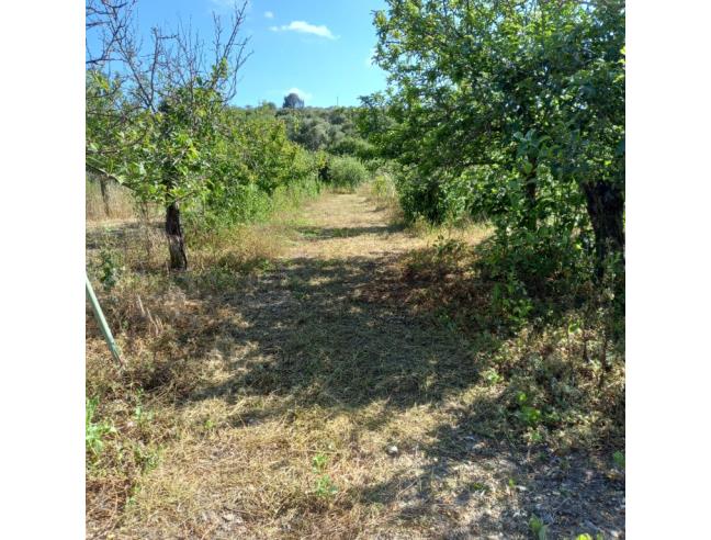 Anteprima foto 1 - Terreno Agricolo/Coltura in Vendita a Sorso (Sassari)