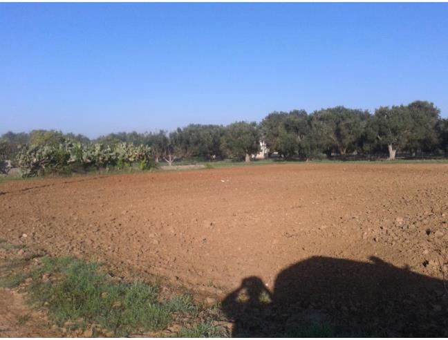 Anteprima foto 1 - Terreno Agricolo/Coltura in Vendita a Supersano (Lecce)