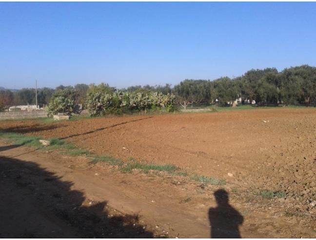 Anteprima foto 2 - Terreno Agricolo/Coltura in Vendita a Supersano (Lecce)