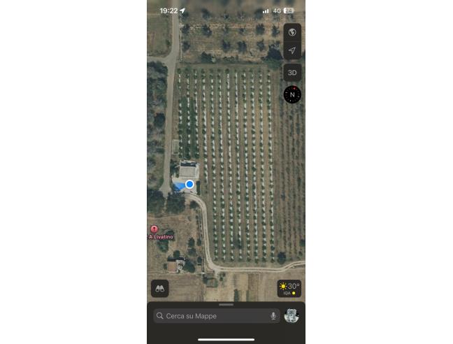 Anteprima foto 5 - Terreno Agricolo/Coltura in Vendita a Supersano (Lecce)