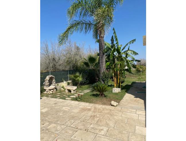 Anteprima foto 6 - Terreno Agricolo/Coltura in Vendita a Supersano (Lecce)