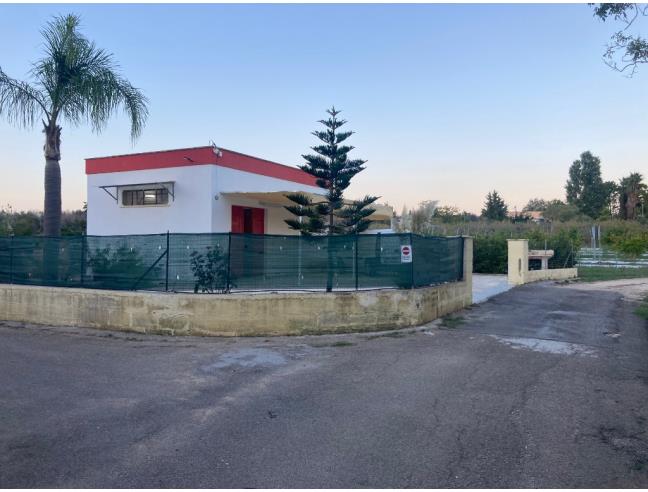 Anteprima foto 8 - Terreno Agricolo/Coltura in Vendita a Supersano (Lecce)