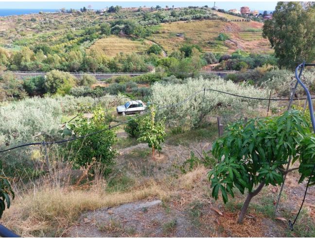 Anteprima foto 1 - Terreno Agricolo/Coltura in Vendita a Taormina - Trappitello