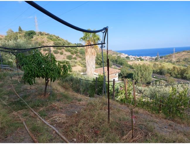 Anteprima foto 2 - Terreno Agricolo/Coltura in Vendita a Taormina - Trappitello