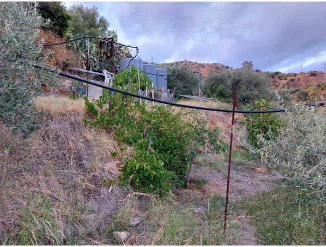 Anteprima foto 3 - Terreno Agricolo/Coltura in Vendita a Taormina - Trappitello