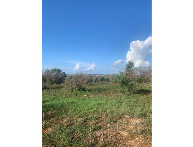 Anteprima foto 2 - Terreno Agricolo/Coltura in Vendita a Taurisano (Lecce)