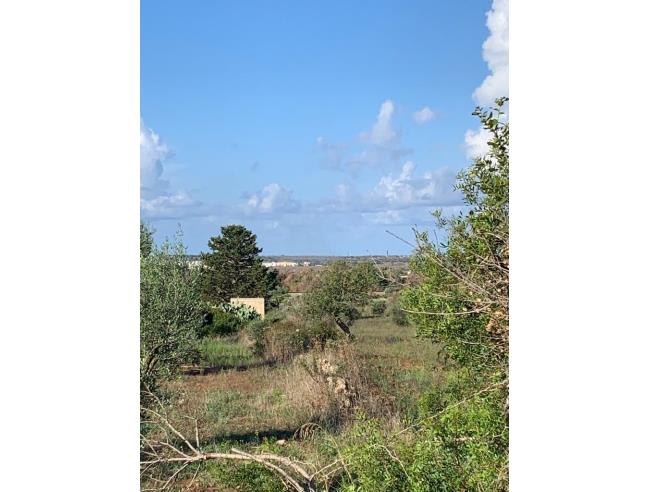 Anteprima foto 3 - Terreno Agricolo/Coltura in Vendita a Taurisano (Lecce)