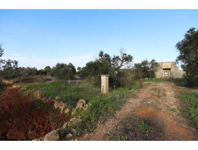 Anteprima foto 1 - Terreno Agricolo/Coltura in Vendita a Taviano (Lecce)