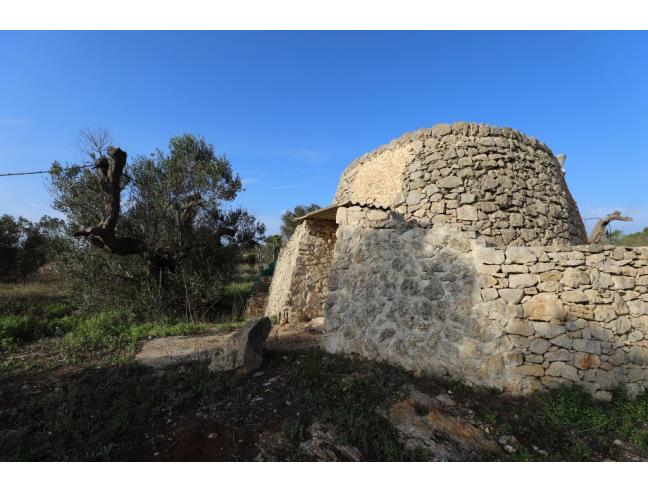 Anteprima foto 3 - Terreno Agricolo/Coltura in Vendita a Taviano (Lecce)