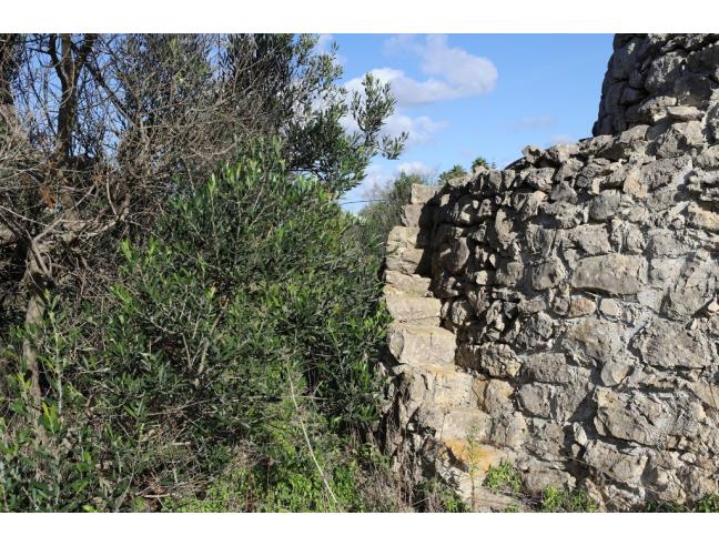Anteprima foto 4 - Terreno Agricolo/Coltura in Vendita a Taviano (Lecce)