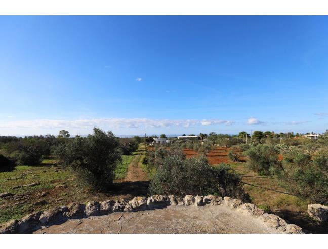 Anteprima foto 7 - Terreno Agricolo/Coltura in Vendita a Taviano (Lecce)