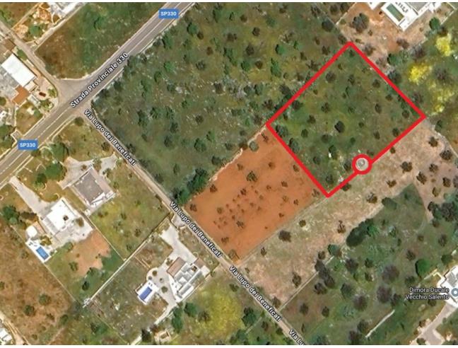 Anteprima foto 8 - Terreno Agricolo/Coltura in Vendita a Taviano (Lecce)