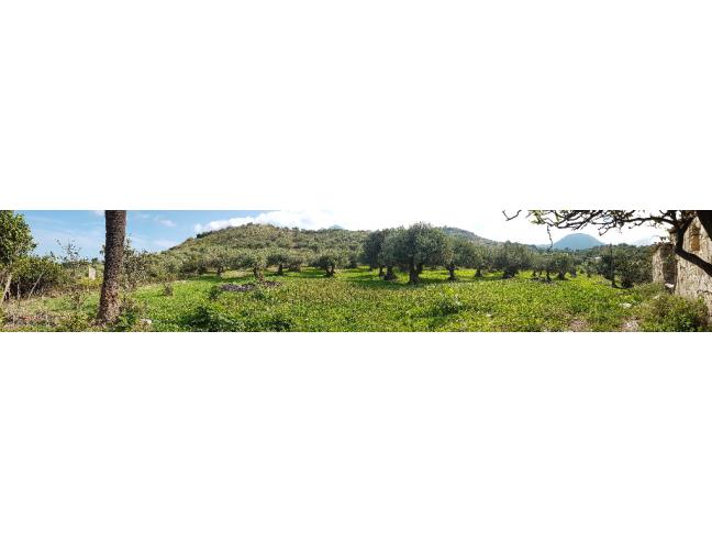 Anteprima foto 1 - Terreno Agricolo/Coltura in Vendita a Termini Imerese (Palermo)