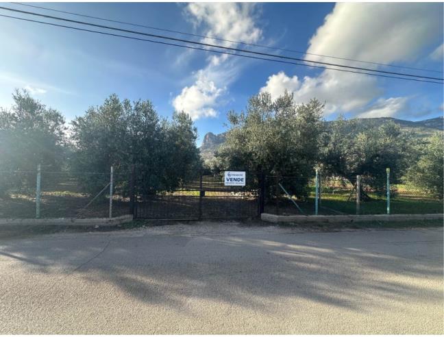Anteprima foto 2 - Terreno Agricolo/Coltura in Vendita a Terracina - San Benedetto