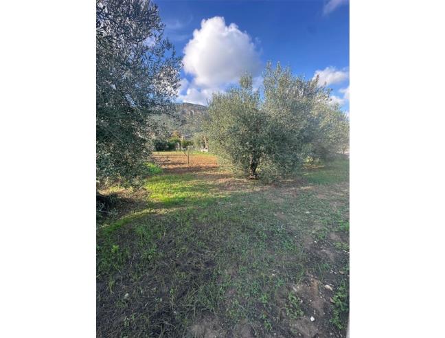 Anteprima foto 3 - Terreno Agricolo/Coltura in Vendita a Terracina - San Benedetto