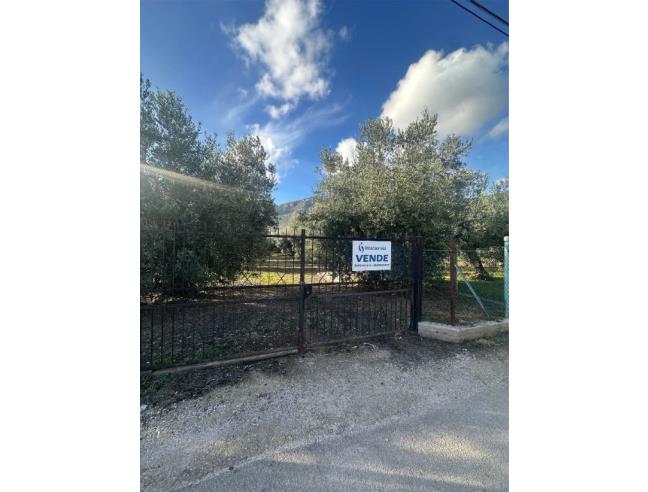 Anteprima foto 5 - Terreno Agricolo/Coltura in Vendita a Terracina - San Benedetto