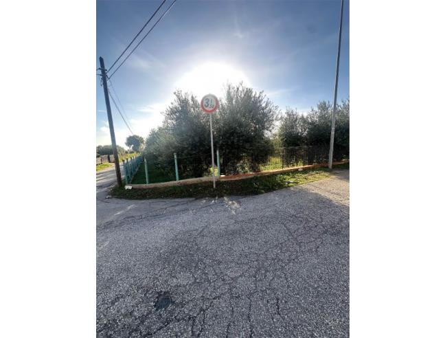 Anteprima foto 6 - Terreno Agricolo/Coltura in Vendita a Terracina - San Benedetto