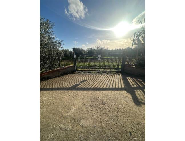 Anteprima foto 7 - Terreno Agricolo/Coltura in Vendita a Terracina - San Benedetto