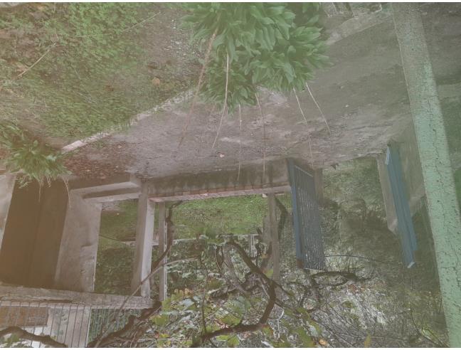 Anteprima foto 2 - Terreno Agricolo/Coltura in Vendita a Terranova da Sibari (Cosenza)