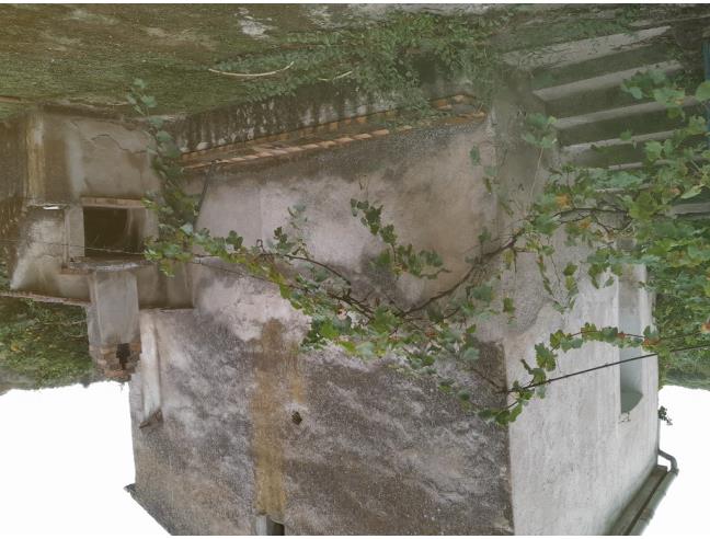 Anteprima foto 4 - Terreno Agricolo/Coltura in Vendita a Terranova da Sibari (Cosenza)