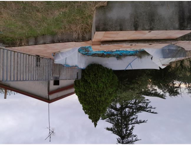 Anteprima foto 8 - Terreno Agricolo/Coltura in Vendita a Terranova da Sibari (Cosenza)