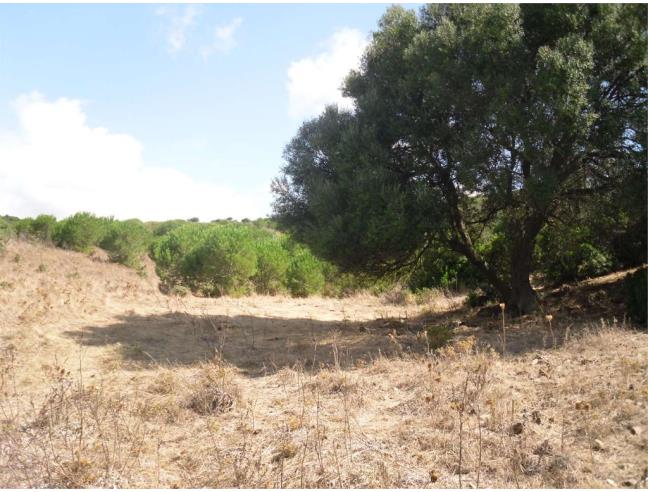 Anteprima foto 1 - Terreno Agricolo/Coltura in Vendita a Teulada (Cagliari)