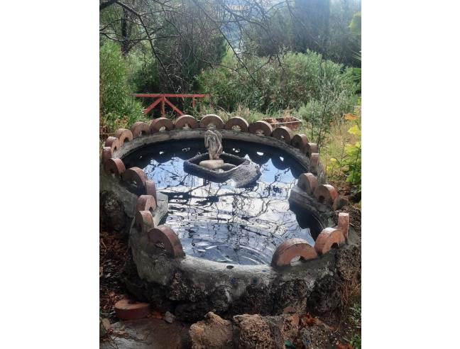 Anteprima foto 7 - Terreno Agricolo/Coltura in Vendita a Tivoli - Bagni Di Tivoli