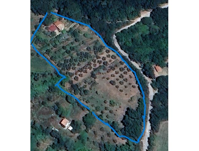 Anteprima foto 2 - Terreno Agricolo/Coltura in Vendita a Tolfa (Roma)