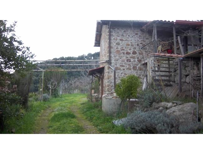 Anteprima foto 3 - Terreno Agricolo/Coltura in Vendita a Tolfa (Roma)