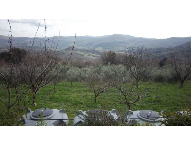 Anteprima foto 4 - Terreno Agricolo/Coltura in Vendita a Tolfa (Roma)