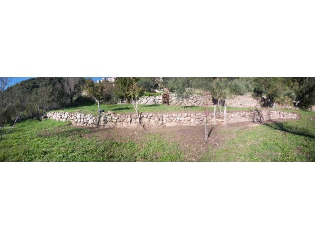 Anteprima foto 6 - Terreno Agricolo/Coltura in Vendita a Tolfa (Roma)