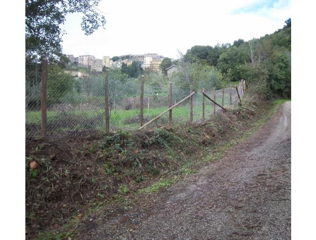 Anteprima foto 7 - Terreno Agricolo/Coltura in Vendita a Tolfa (Roma)