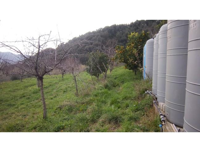 Anteprima foto 8 - Terreno Agricolo/Coltura in Vendita a Tolfa (Roma)