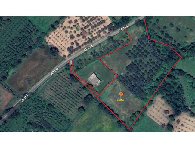 Anteprima foto 1 - Terreno Agricolo/Coltura in Vendita a Tora e Piccilli - Tora