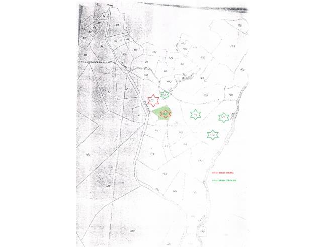 Anteprima foto 1 - Terreno Agricolo/Coltura in Vendita a Tora e Piccilli - Tuoro