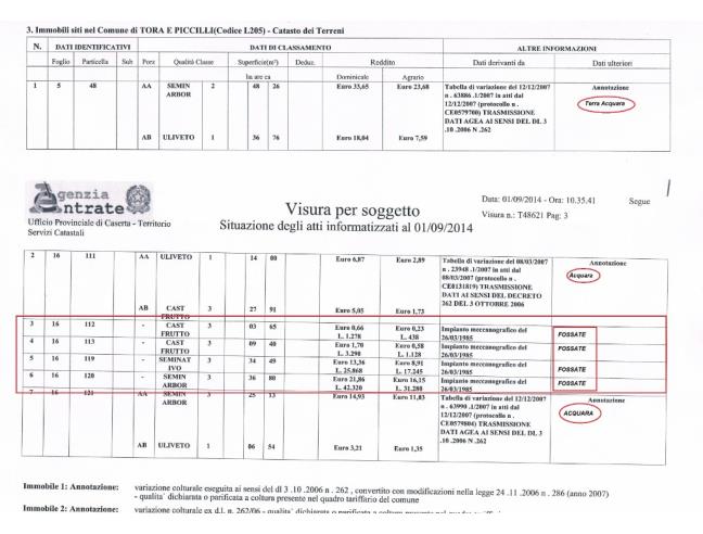 Anteprima foto 1 - Terreno Agricolo/Coltura in Vendita a Tora e Piccilli - Tuoro