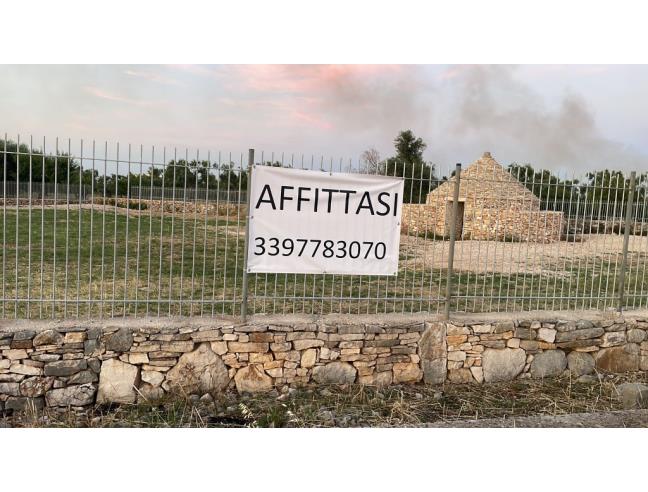 Anteprima foto 2 - Terreno Agricolo/Coltura in Vendita a Toritto (Bari)