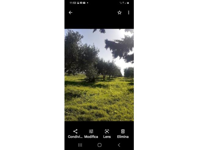 Anteprima foto 2 - Terreno Agricolo/Coltura in Vendita a Trapani - Salinagrande