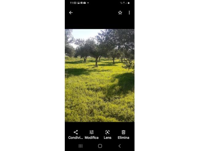 Anteprima foto 3 - Terreno Agricolo/Coltura in Vendita a Trapani - Salinagrande