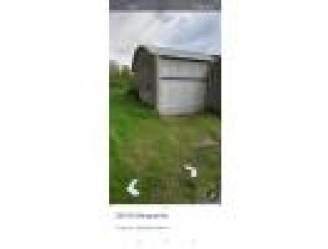 Anteprima foto 2 - Terreno Agricolo/Coltura in Vendita a Trecenta - Berguarina Ii