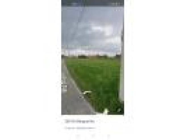 Anteprima foto 3 - Terreno Agricolo/Coltura in Vendita a Trecenta - Berguarina Ii