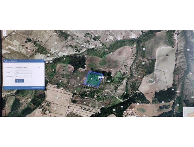 Anteprima foto 2 - Terreno Agricolo/Coltura in Vendita a Tricarico (Matera)