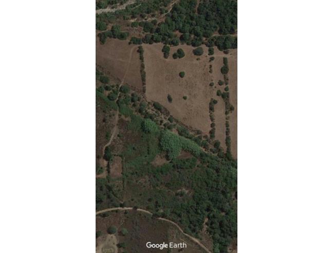 Anteprima foto 2 - Terreno Agricolo/Coltura in Vendita a Triei (Nuoro)