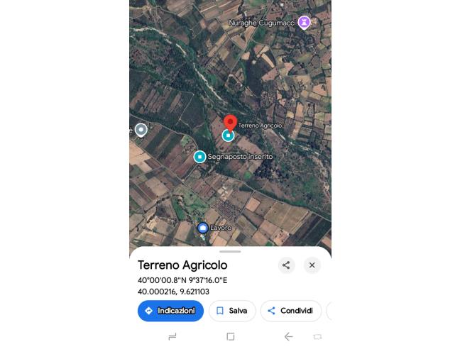 Anteprima foto 7 - Terreno Agricolo/Coltura in Vendita a Triei (Nuoro)