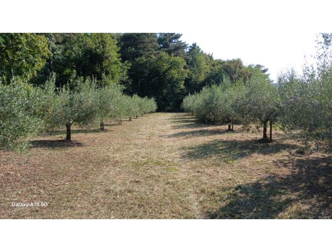 Anteprima foto 1 - Terreno Agricolo/Coltura in Vendita a Trieste - Centro città