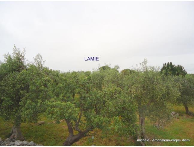 Anteprima foto 5 - Terreno Agricolo/Coltura in Vendita a Triggiano (Bari)