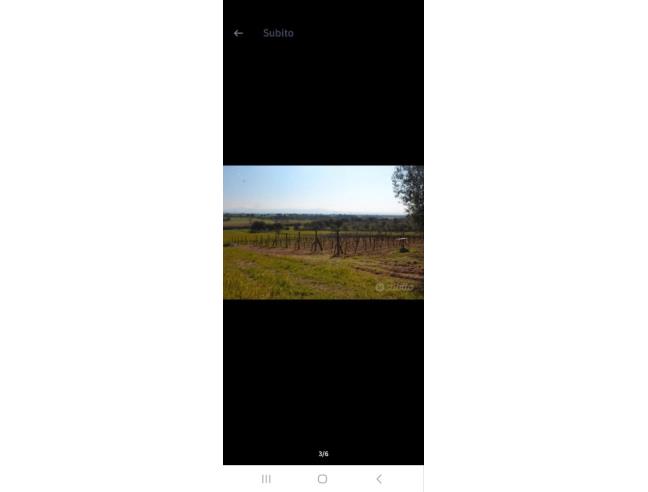 Anteprima foto 4 - Terreno Agricolo/Coltura in Vendita a Tuscania (Viterbo)
